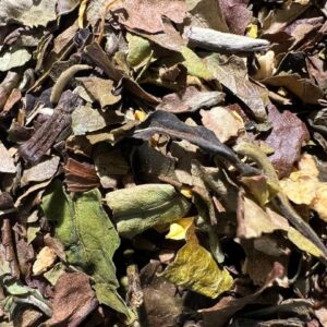 White Tea Garden Tea leaves sold by Quite The Stir Tea and Spice Company