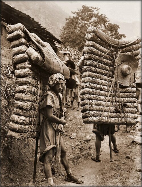 Ancient Tea Horse Caravan with Quite The Stir / Men Laden with Tea Sichuan Sheng China. Ernest H. Wilson, Restored.