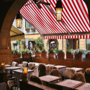 The Tea Travelogues